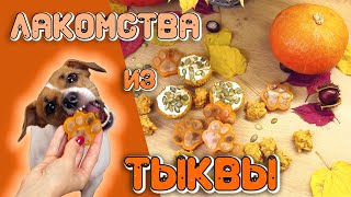 Быстрые Рецепты Лакомств Для Собак из ТЫКВЫ /💥БЕЗ ВЫПЕКАНИЯ💥