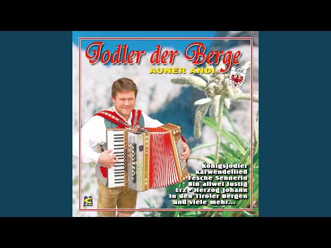 Auner Andi - In den Tiroler Bergen