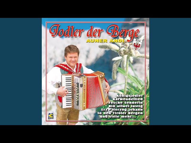 Die Tiroler Inntalkrainer - Angerseepolka