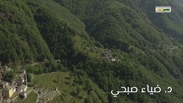سورة القيامة .. مقام اللامي.. د.ضياء صبحي