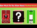 Guess the Numberblocks Quiz! | Test Your Knowledge About Numberblocks 🔢✨