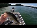 Spotted Bass Fishing Lake Allatoona Mid Day Saturday (Boats Everywhere)
