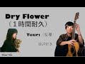 Dry Flower( ドライフラワー）優理（Yuuri)　１時間耐久　歌詞付き