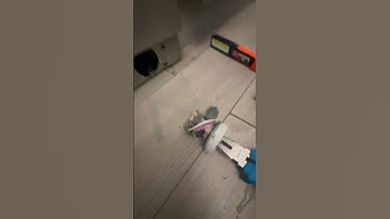 How to Fix F05 Error on Hotpoint Washing Machine | Nimble Appliance Repairs