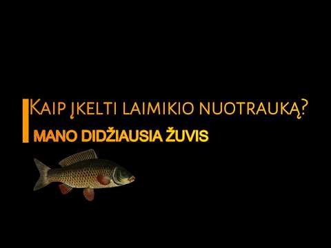 Video: Jakutijos žuvys: nuotraukos, pavadinimai ir rūšių aprašymai