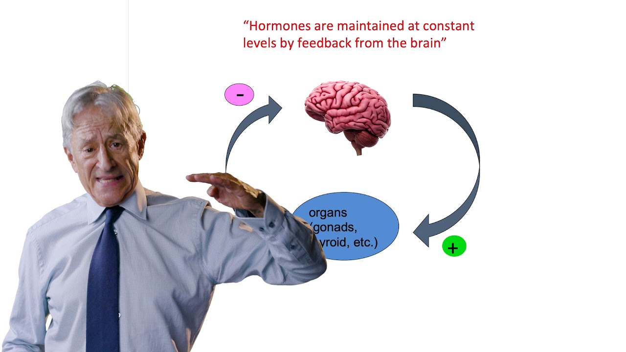 13.1  Oscillation in the Sciences