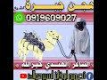 الهندي خيرالله الكباشي الهندي خيرالله الكباشي