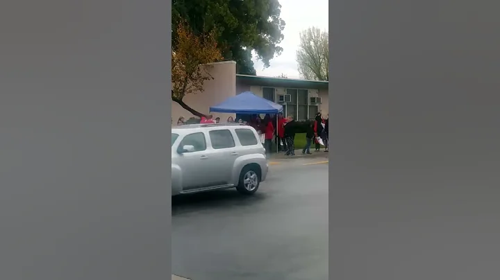 Day two of the teachers strike 2019 first day of the teacher strike lost 15 million dollars(2)