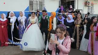 Koma Baran 2024 Muhteşem Şewko - Büşra & Ömer Part - 1