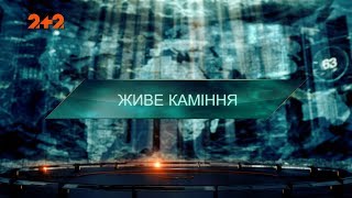 Живе каміння - Загублений світ. 2 сезон. 50 випуск Живе каміння - Загублений світ. 2 сезон. 50 випуск