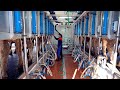 FLACO (Sala de ordeño para vacas en línea baja) 2×10