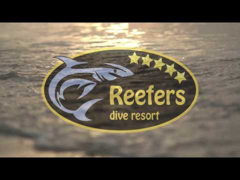 Reefers Promo Video