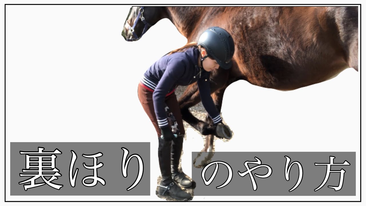 裏ほりのやり方 乗馬初心者 馬装 馬具 馬術 Youtube