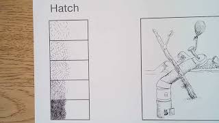 How To: Hatch + Cross-Hatch Value Scale in Pen and Ink