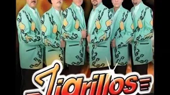 tigrillos - bailame despacito tigrillos - bailame despacito