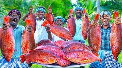Red snapper fish big fish grill recipe cooking in village fish fry in clay ancient cooking