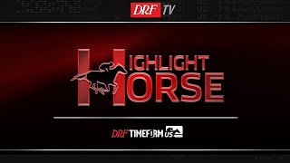 Highlight Horse - Aqueduct Race 6 - November 14, 2019