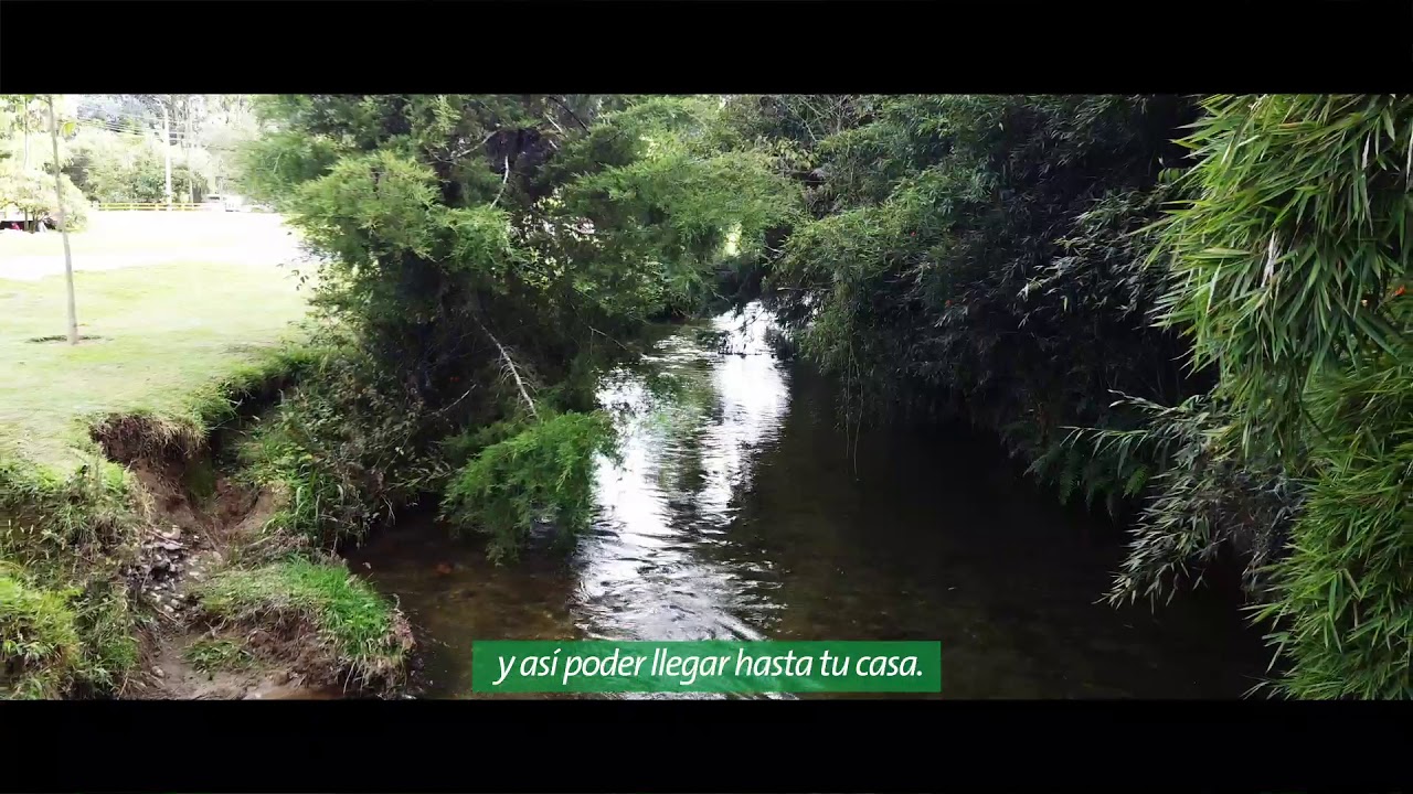 Cuida Del Rio Cuida el agua, cuida la vida: Conoce la historia del río Pantanillo ...