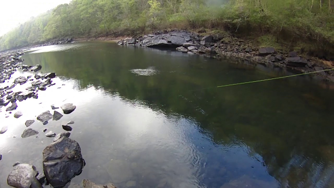 Fly Fishing the Sipsey Tailrace in the Summer Months YouTube