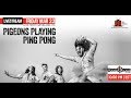 Pigeon Playing Ping Pong | House of Blues Cleveland | 3/22/19 | Relix
