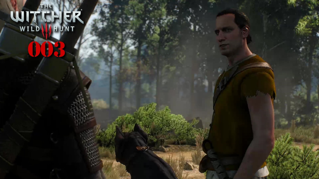 Witcher 3 Ein Gefährliches Spiel The Witcher 3 #003 - Ein blutiges Schlachtfeld ★ Let's Play The Witcher