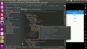 05  Flutter Stateless Widget