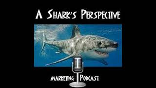 #208 - How to Become the Successful Speaker