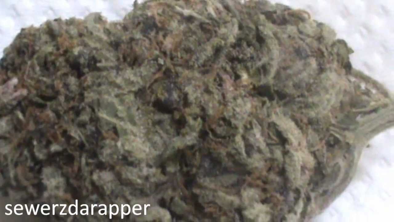 Mr. Nice Guy - Todays Weed