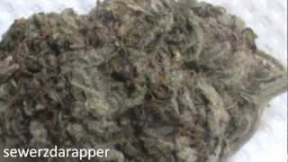 Mr. Nice Guy - Todays Weed
