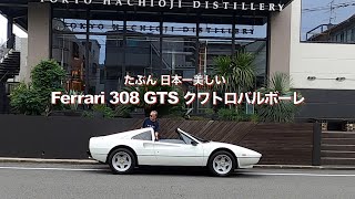 【Ferrari 308 Quattrovalvole】おそらく日本一美しい フェラーリ308クワトロバルボーレ