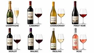 Every Type Of Wine Explained In 16 Minutes