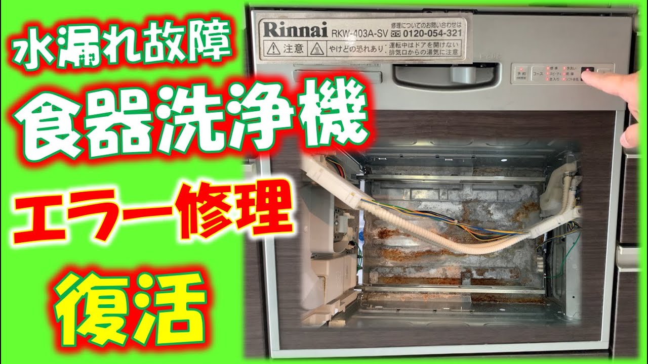 My dishwasher is leaking water! I found the cause of the error and