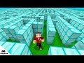 MİNECRAFT YENİ ELMAS LABİRENT SAKLAMBAÇ MODU