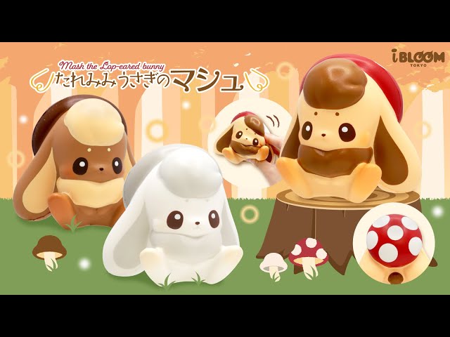 きのこが大好きなふんわりうさぎ🐰たれみみうさぎのマシュ - YouTube