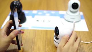 291White Connect video