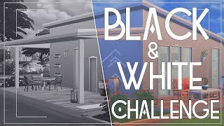 TS4 | Испытание Монохромом | Black &amp; White Challenge