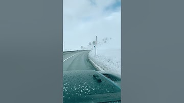 Follow for scroll break reminders!! Stop scrolling! take a moment to relax 🌴🌴🪴🪴🌺🌺🌊🌊 #mindfulness