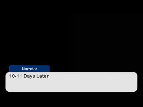 FNAF story part 1