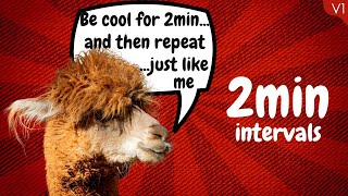 Famous 2 Minute Beep INTERVALS | V1 Profile