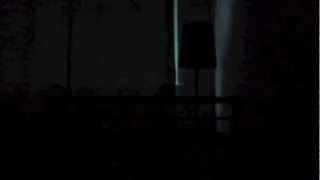 The Thing In My Apartment Must Watch