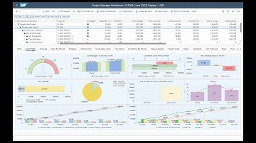 v6. Project Manager Workbench:  Project Planning, Project Forecasting  in  SAP by Noveco in SAP GUI