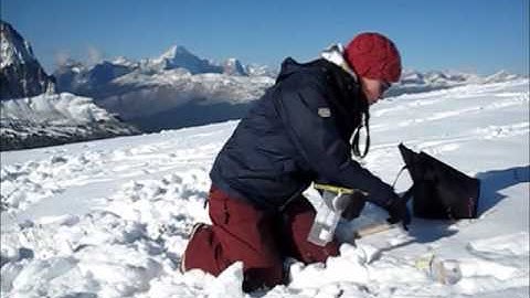 Caribou Fecal Sample Collection