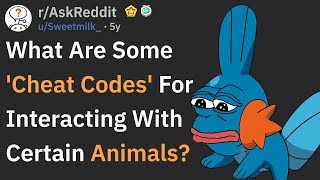 Cheat Codes For Interacting With Animals (r/AskReddit)