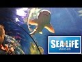 SEA LIFE München - Подводный мир в Мюнхене