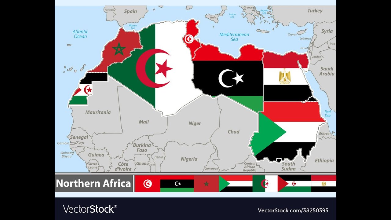 ASMR North African Currency Collection
