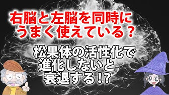 右脳 Youtube
