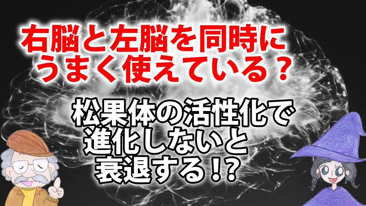 右脳と左脳をうまく使って 松果体の活性化で進化するコツ ひなっち Pスタイル ひなたひでとし Note 右脳と左脳をうまく使って 松果体の活性化で進化するコツ ひなっち Pスタイル ひなたひでとし Note