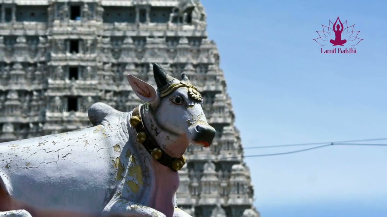 Shivan Song Sankaraya Namaha - Unni Krishnan Sankaraya Namaha | Tamil Bakthi songs