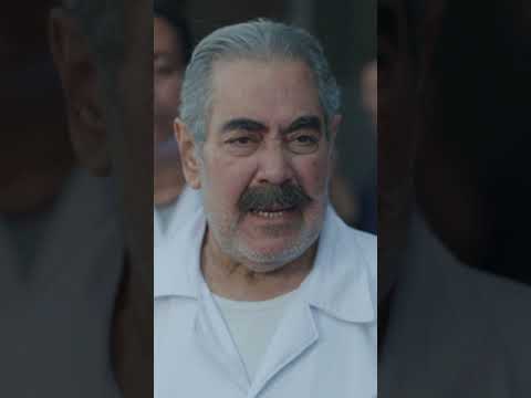 فارس رشدي تاجر جمايل الحصان الأسود 