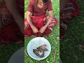 Traditional Net Fishing Video - Cast Net Fishing In Village Pond - Best Net Fishing By Fisherman